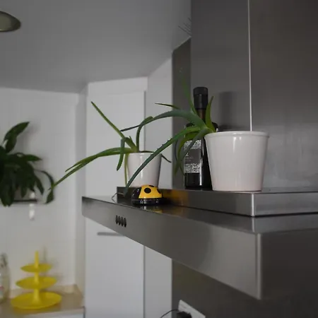 Pisazo Reformado En El Centro Con Garaje Privado Apartment