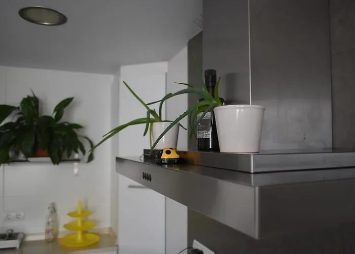 Pisazo Reformado En El Centro Con Garaje Privado Apartment